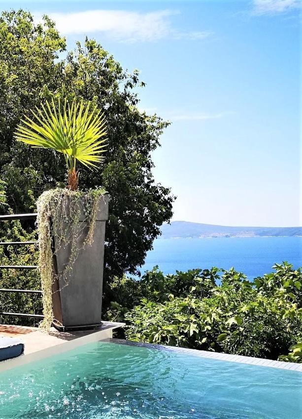 Art Gallery House With A Small Relaxing Pool Crikvenica Luaran gambar